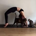Carina | Yoga Teacher