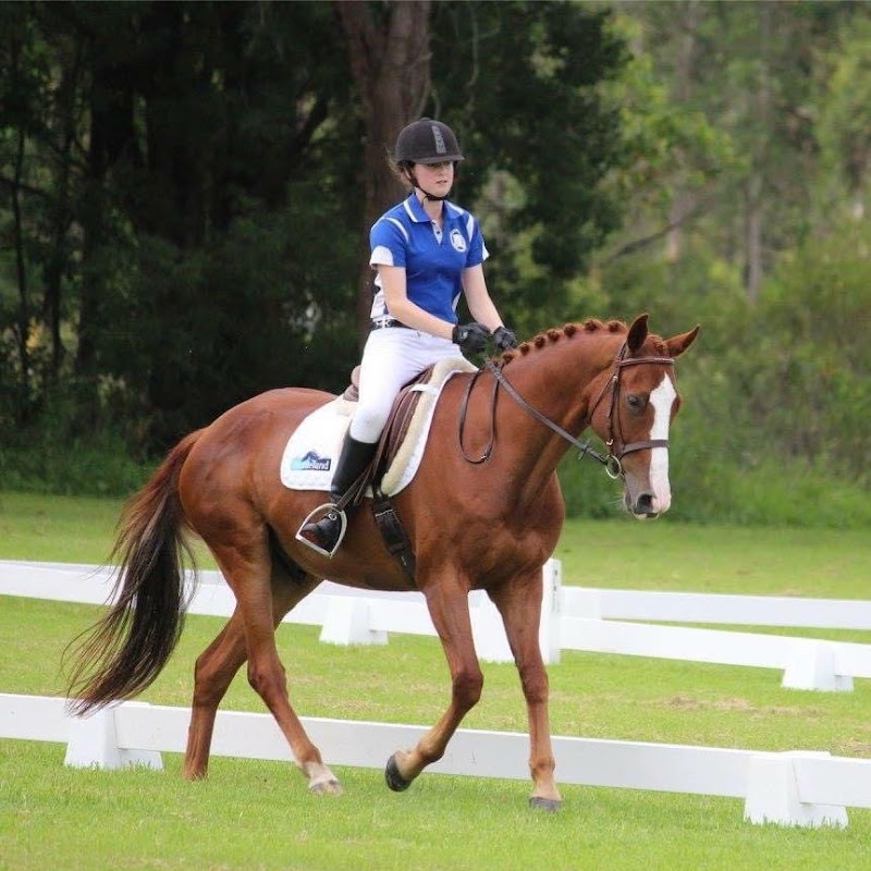 Larnie Horses