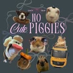 No Cute Piggies🐹🎀