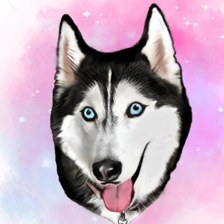 Meeka The Husky 🐺💕