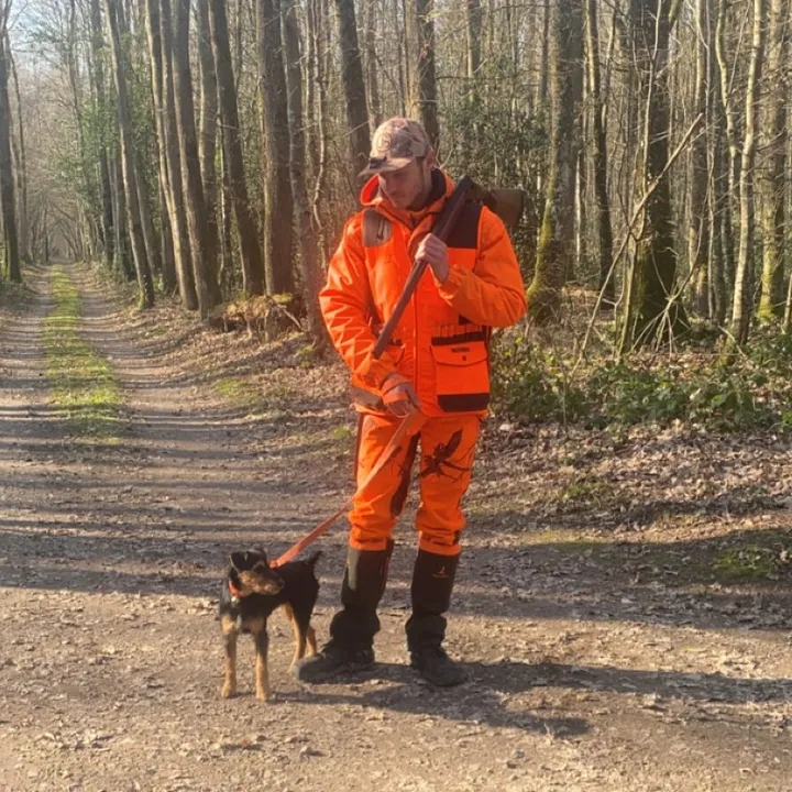 Boubou_chasse