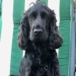 George