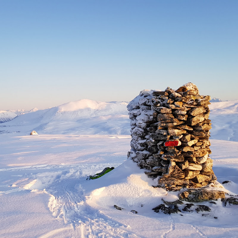 Arctic Nature Experiences