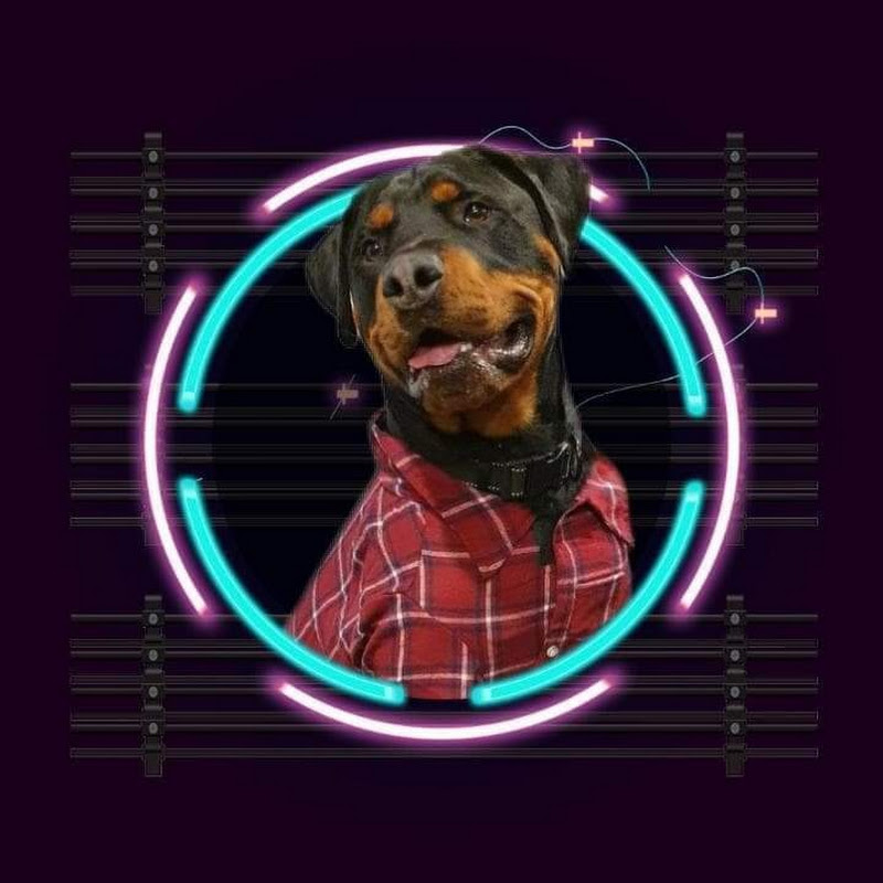 Sprout The Rottweiler