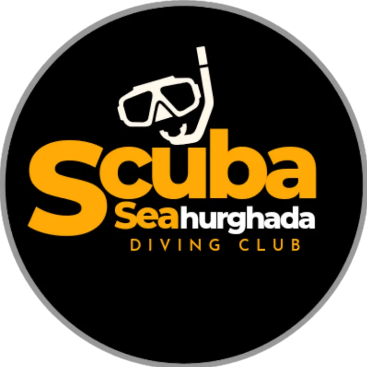 scuba sea