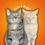 NALA & NUGGET