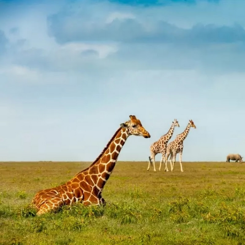 Kevany avec la nature