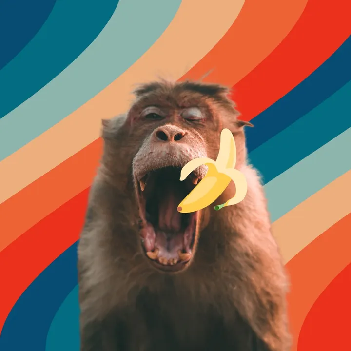 Animales Tiktok 🙊