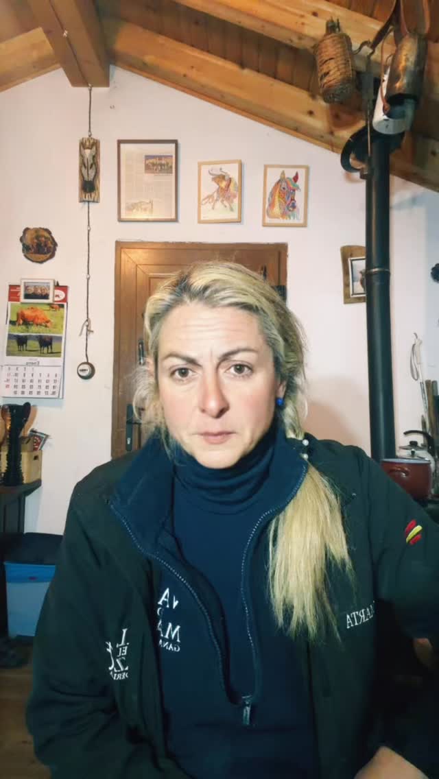 Ganaderia Val Del Mazo _ Oficial