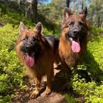 ʜᴇɪᴋᴏ & ᴇɴᴢᴏ