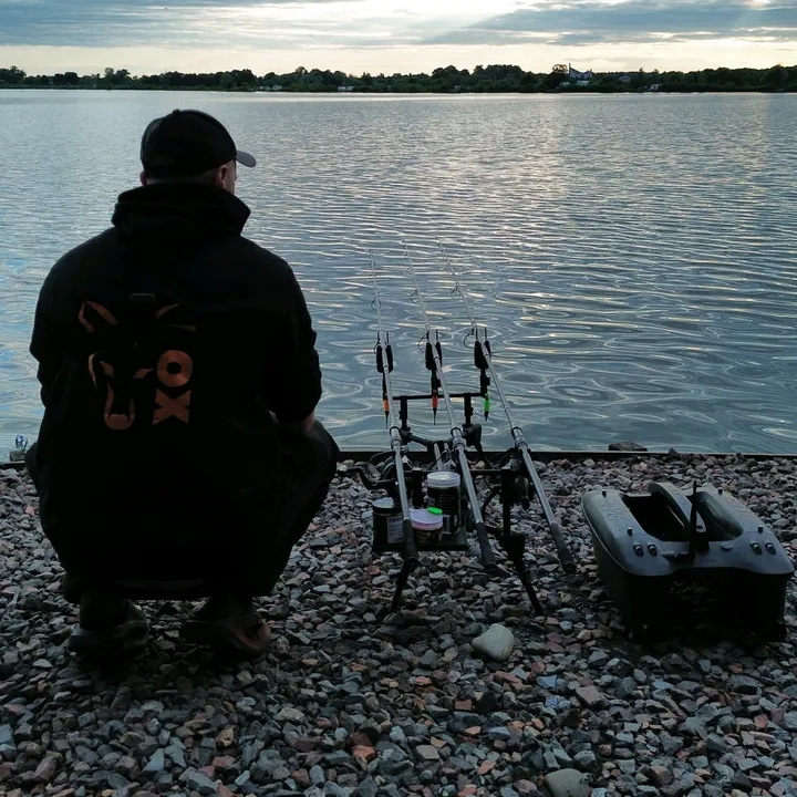 Karpiowy SteryD