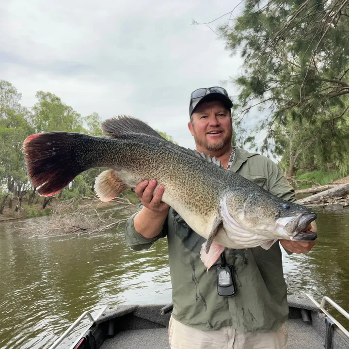 OUTBACKPREDATORFISHING