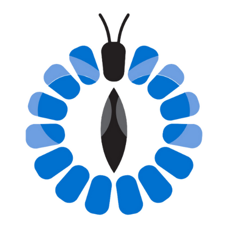 Insect Engineers