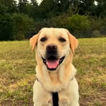 JAKE