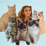 Victoria G / Mis gatos y Lifestyle/ Ugc