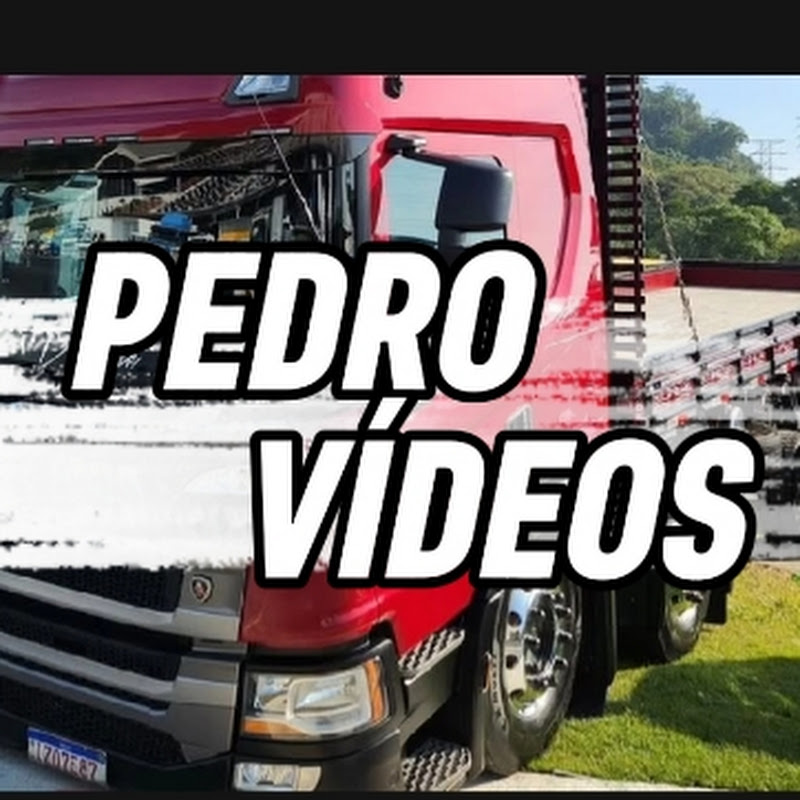 PEDRO VÍDEOS 