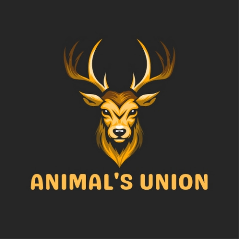 Animal's Union