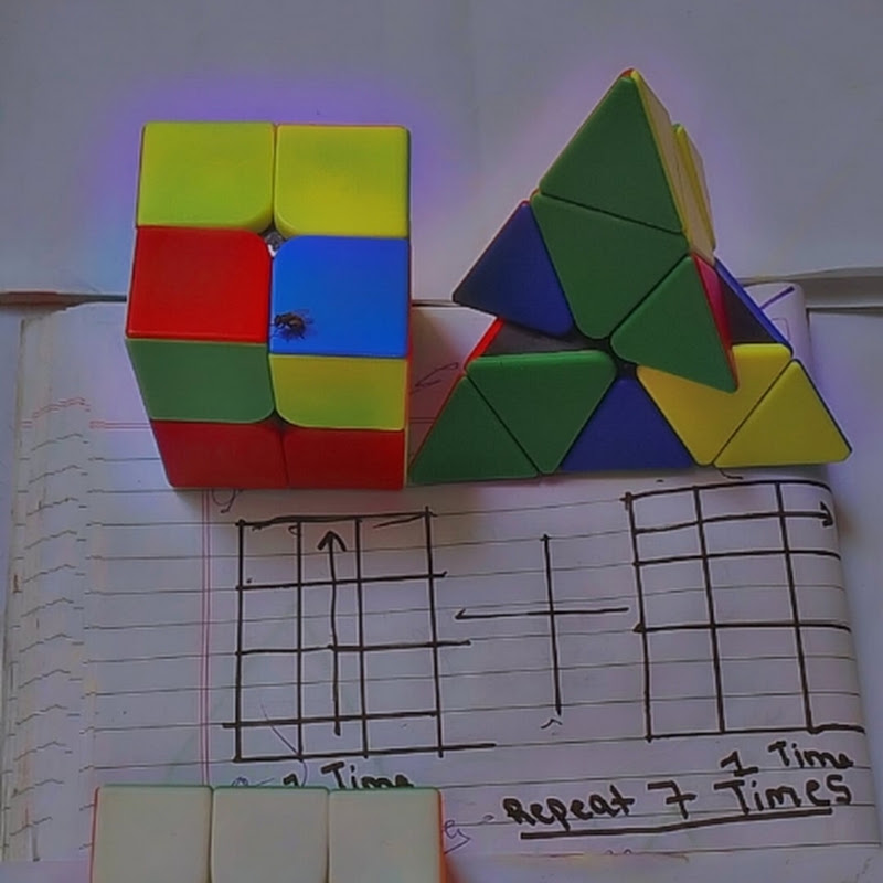 rabiks cube tricks 2511
