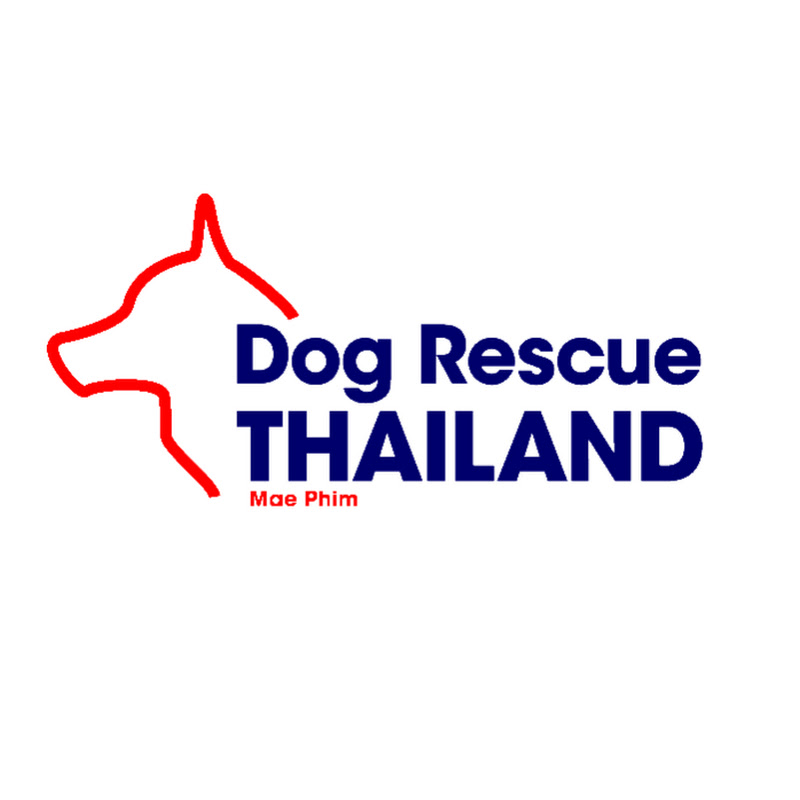 Dog Rescue Thailand