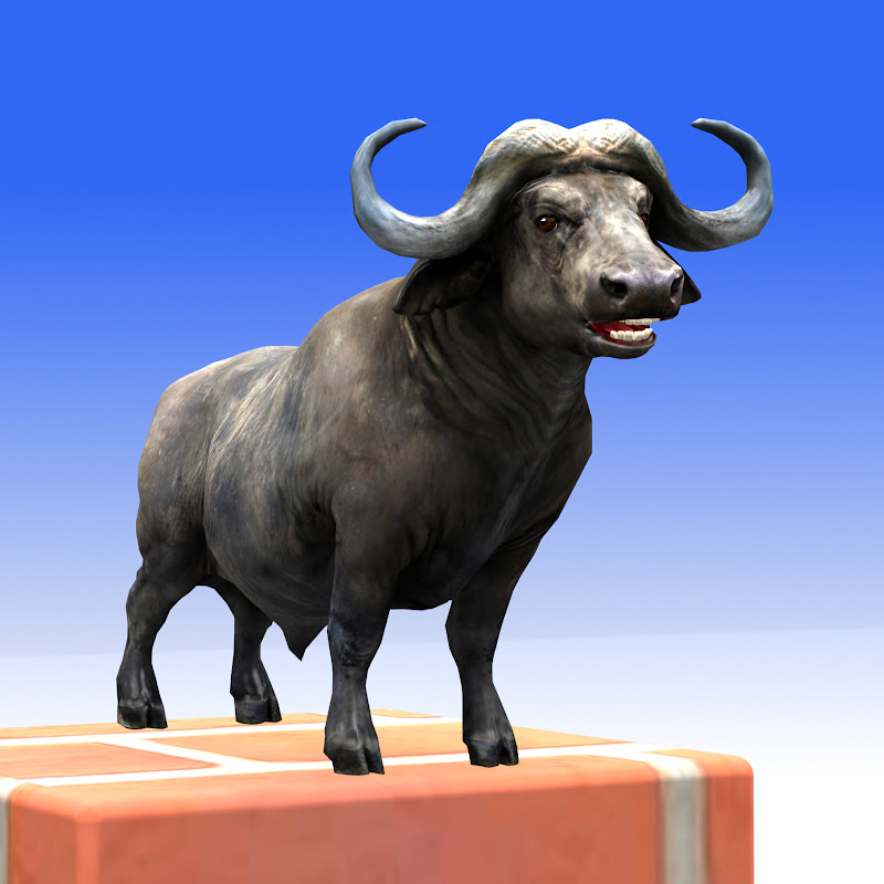 Mr Buffalo TV