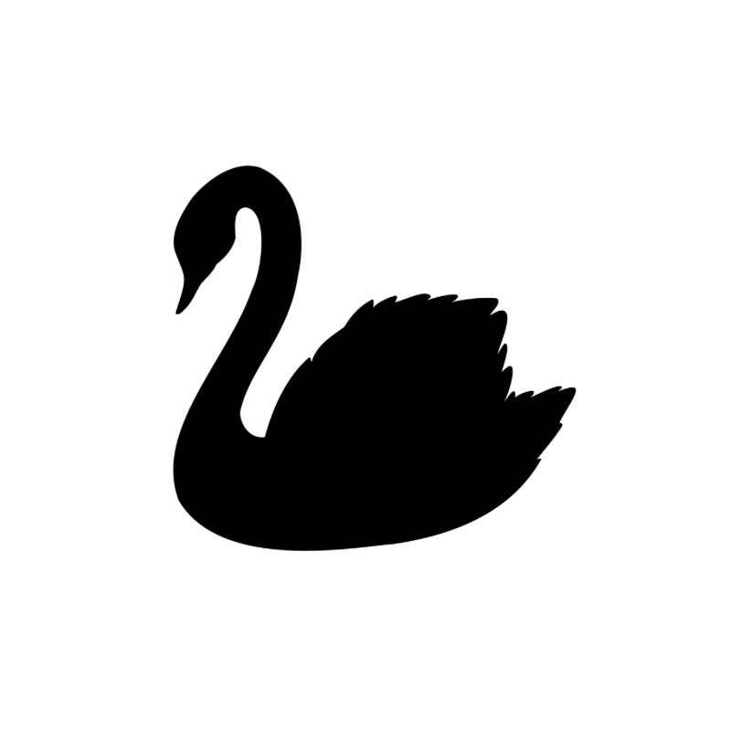 BLACK SWAN BOXING