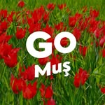 Go Muş