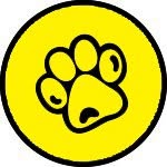 Pet One