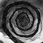 Clara Galle🌀