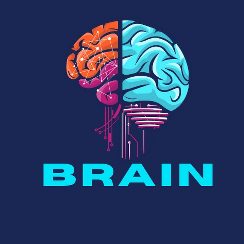 Brain 401