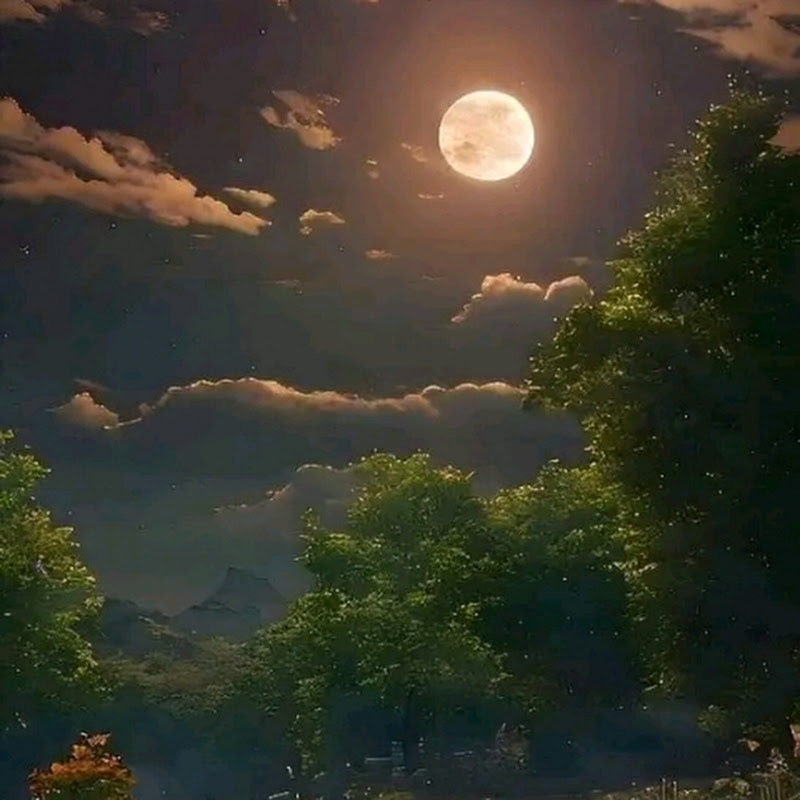 About Nature pk3