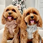 Mia & Daisy