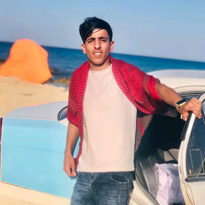 سيف لمنفي