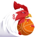 Danilo Gallinari
