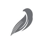 AviationNetwork