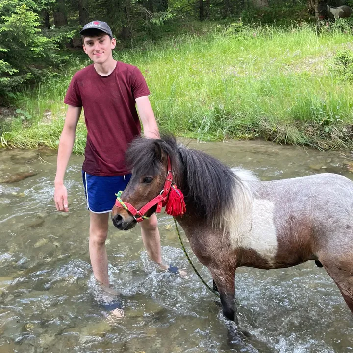 Petruț🌲❤️🐴🐎