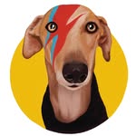 ZIGGY JAGGER⚡️The Rockstar Dog