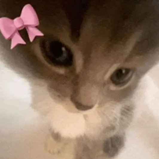 Nici