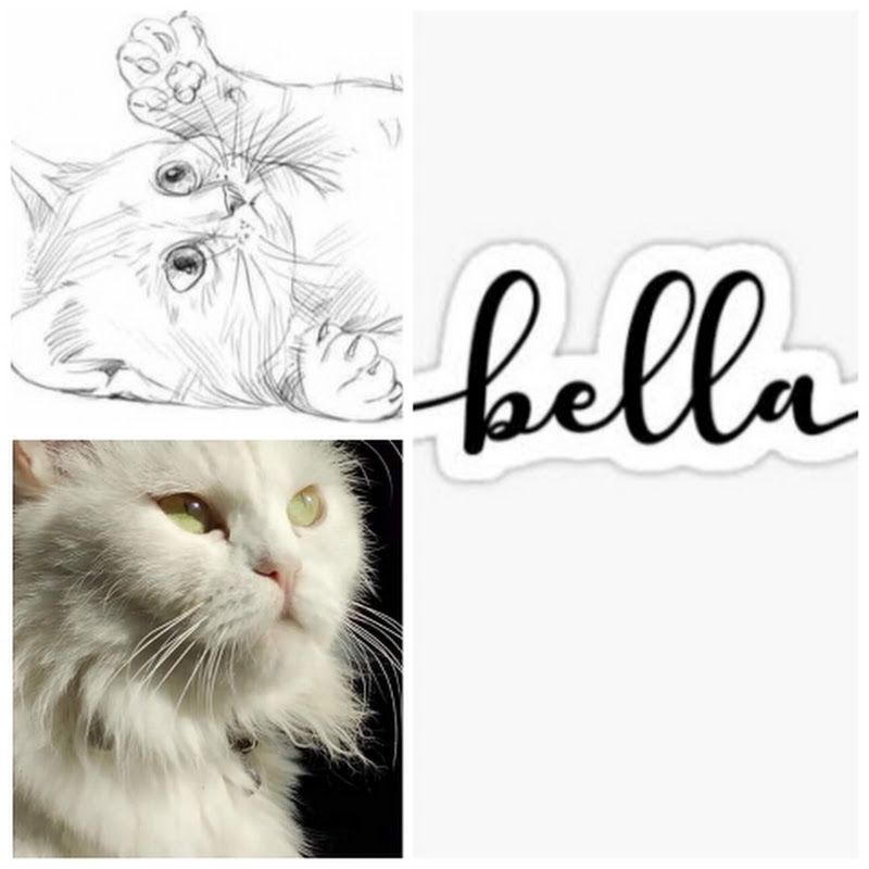 Bellacatcute