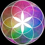 Mental Universe