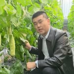 qiyan sun