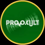Provo.Cult APS & C.Lab