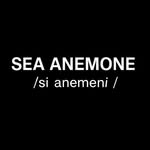 Sea anemone/ˈsiː əˌnem.ə.ni/