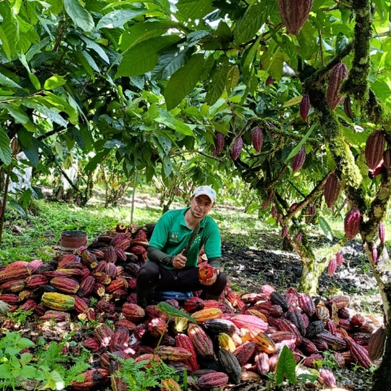 Ricardo Villamil el profe agropecuario