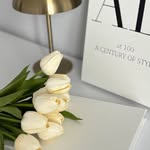 _minibiblog