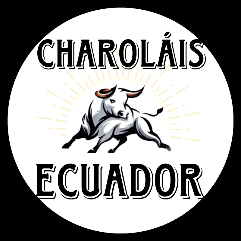 Ganado Charolais 