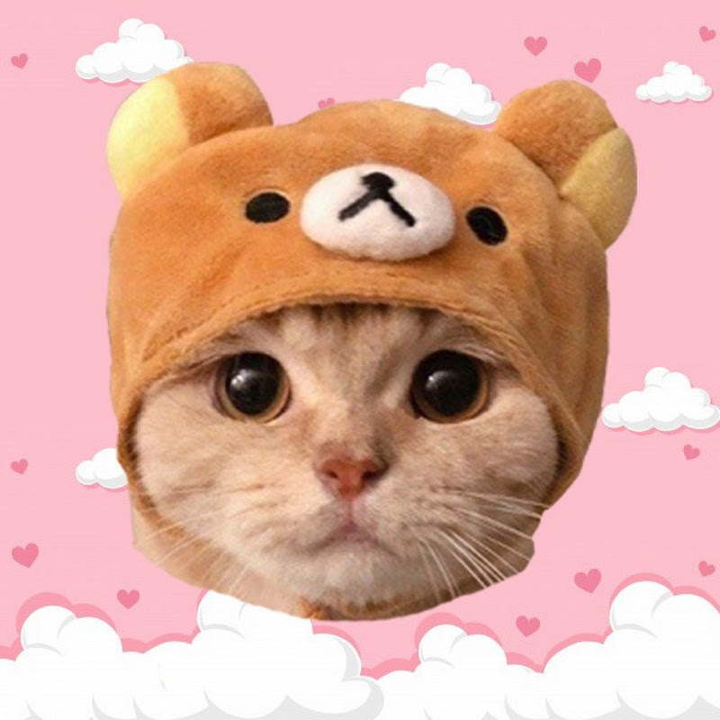 Pet Galaxy