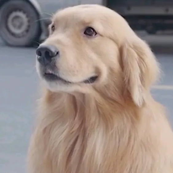 🅻🅾🆅🅴🅳🅞🅶🆂