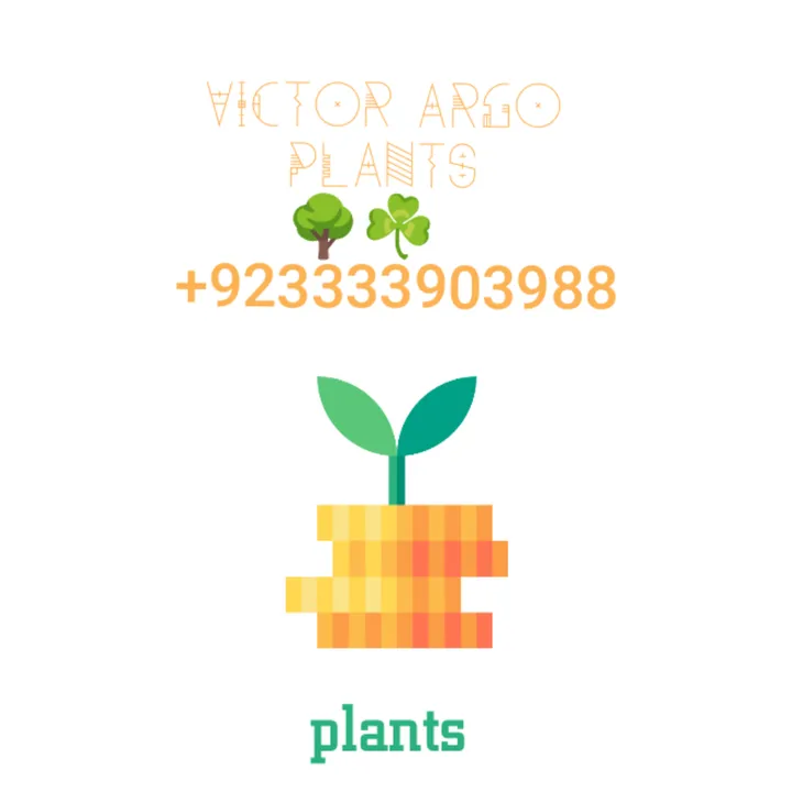 Victor Argo