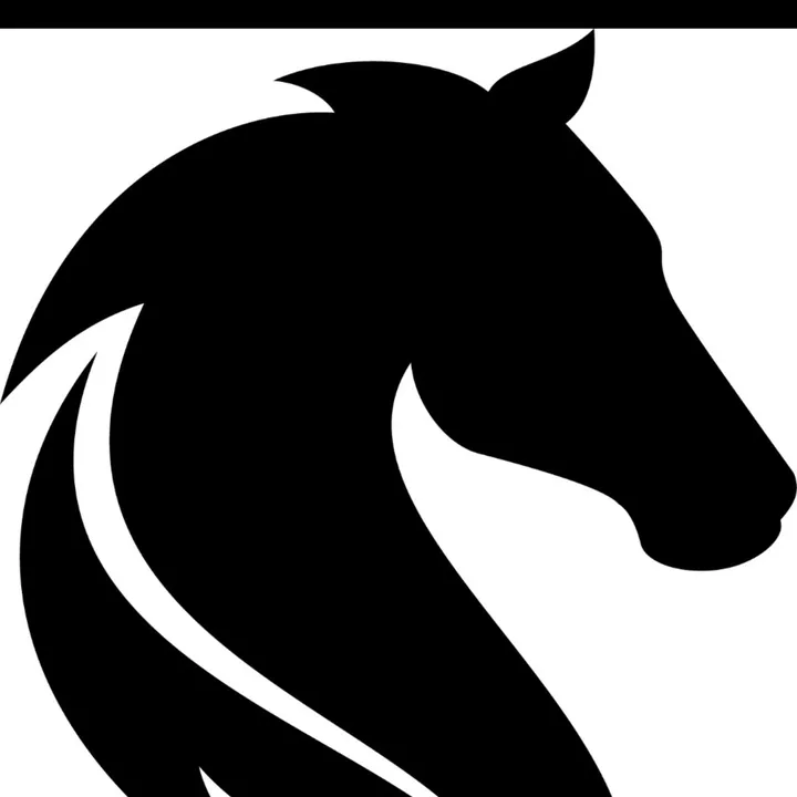 Solène Grillon Horse Riding