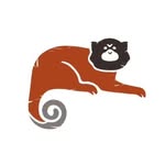 Napo Wildlife Center